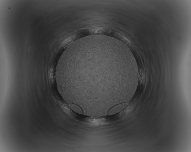 X0000085050670200703051418