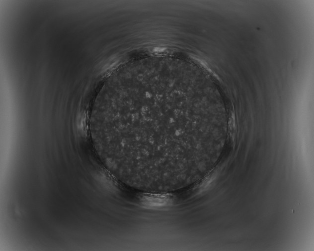X0000085050671200703051418