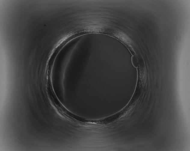 X0000085050674200703051417