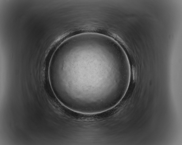 X0000085050675200703051417