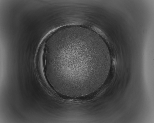 X0000085050676200703051417