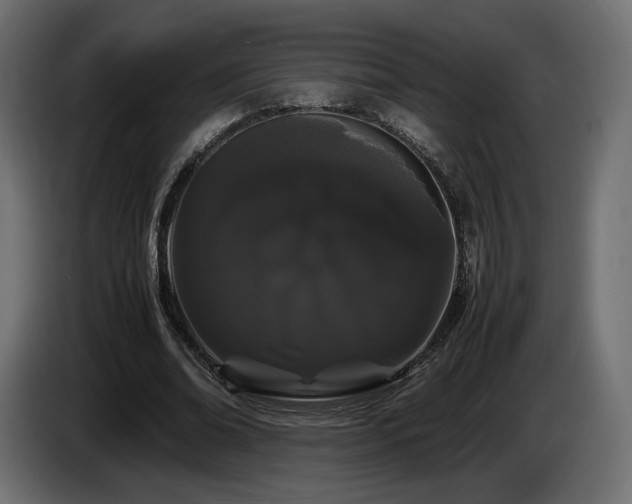 X0000085050678200703051417