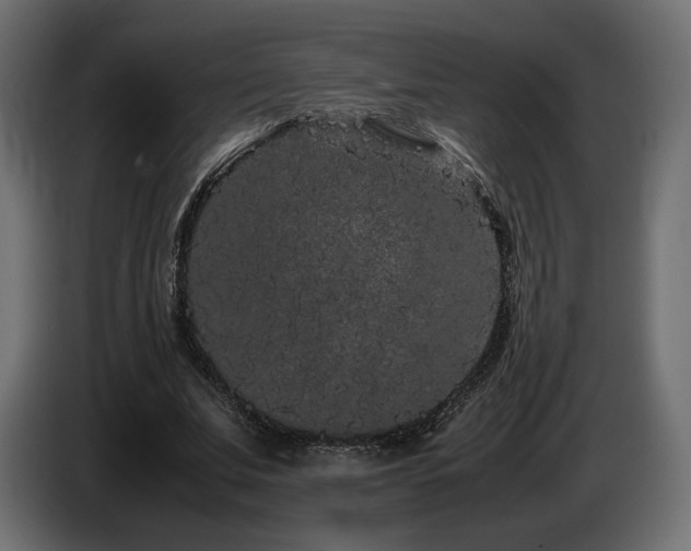 X0000085050679200703051417