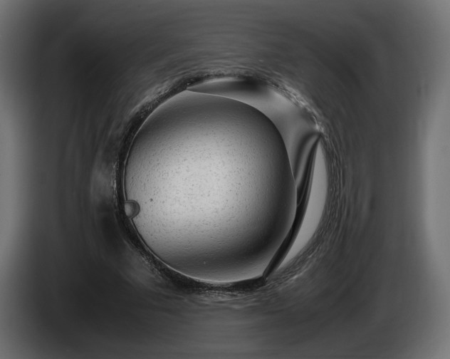 X0000085050681200703051417