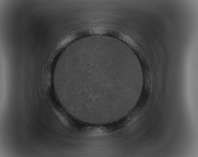 X0000085050683200703051417