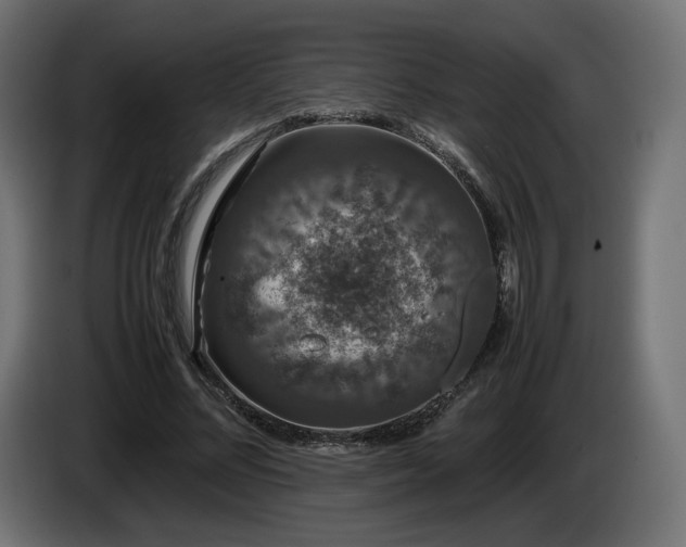X0000085050684200703051417