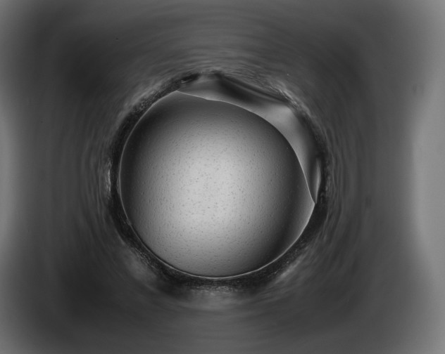 X0000085050685200703051417