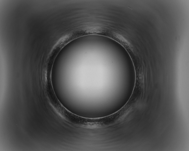 X0000085050686200703051417