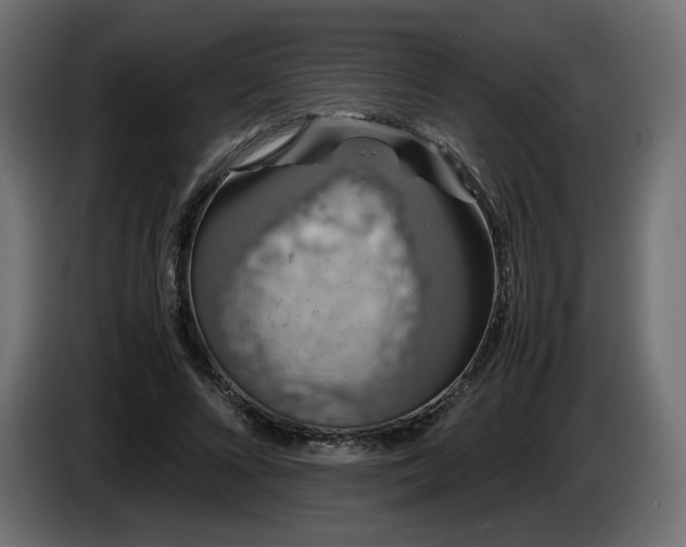 X0000085050688200703051417