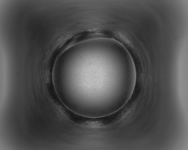 X0000085050689200703051417