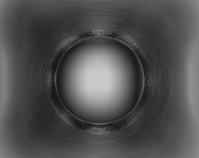 X0000085050690200703051417