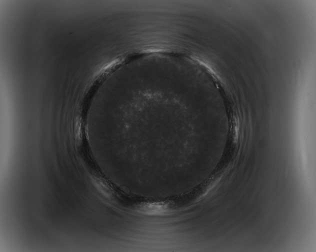 X0000085050692200703051417