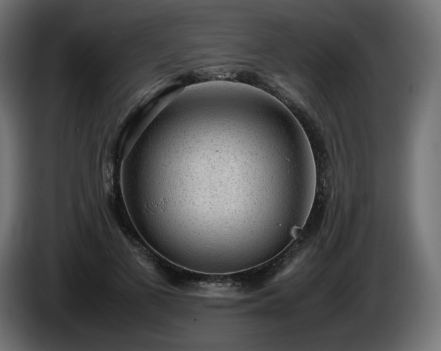 X0000085050693200703051417