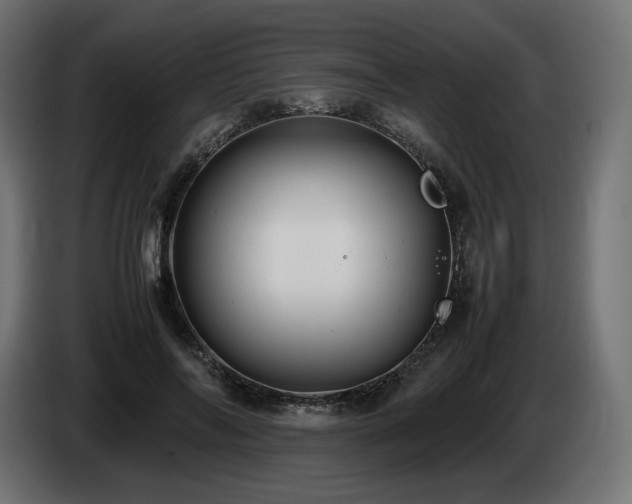 X0000085050694200703051417
