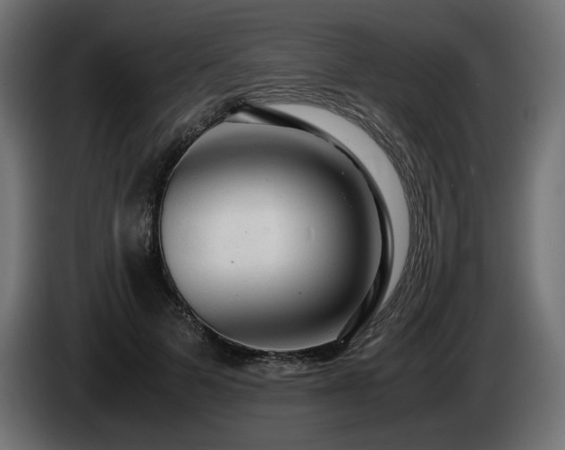 X0000085050697200703051417