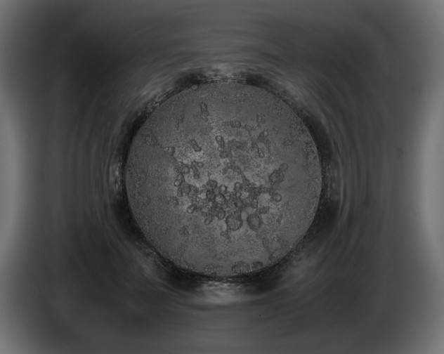 X0000085050699200703051417