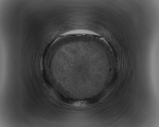 X0000085050700200703051417