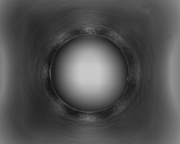 X0000085050702200703051417