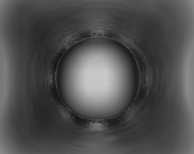 X0000085050706200703051417