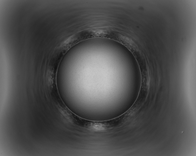 X0000085050710200703051417