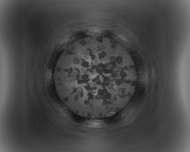 X0000085050711200703051417
