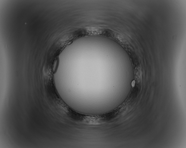 X0000085050713200703051417