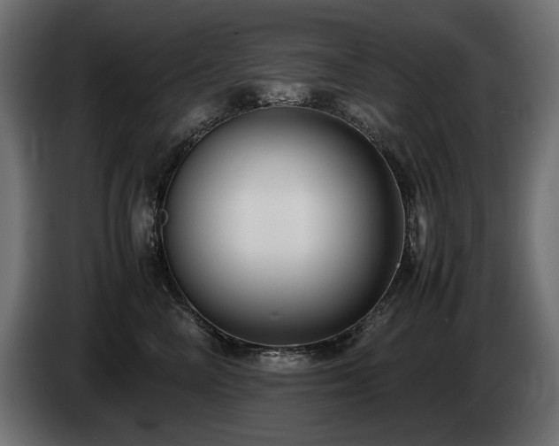 X0000085050714200703051417