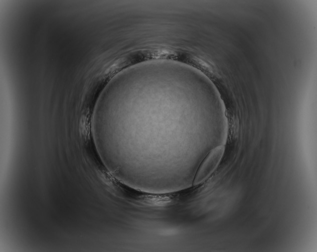 X0000085050719200703051417