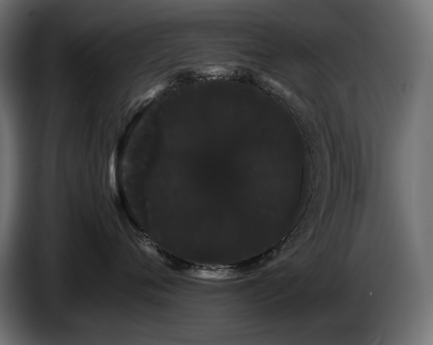 X0000085050720200703051417