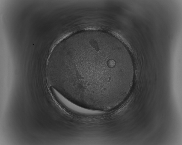 X0000085050721200703051416