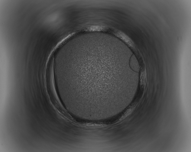 X0000085050722200703051416