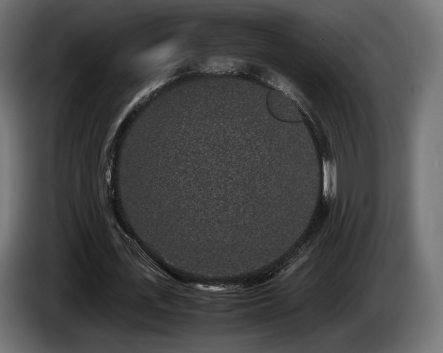 X0000085050723200703051416