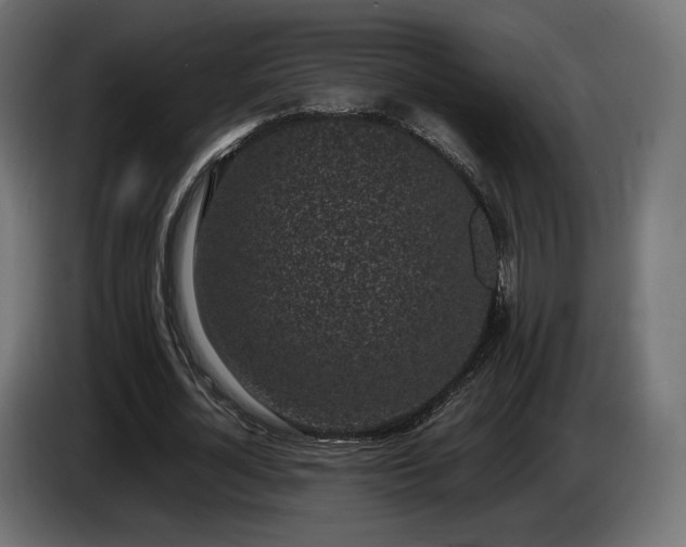 X0000085050724200703051416