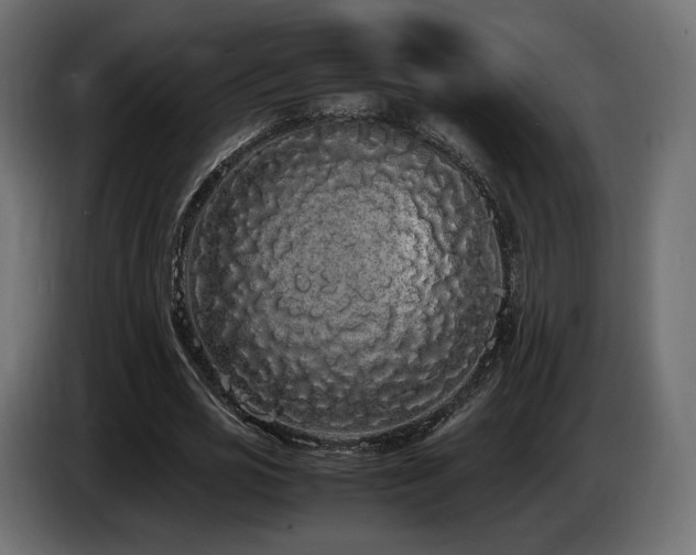 X0000085050725200703051416
