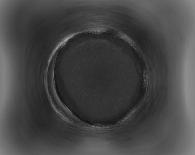 X0000085050726200703051416