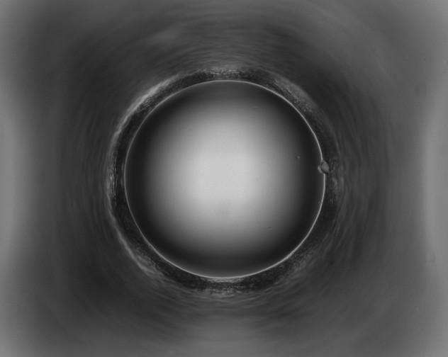 X0000085050728200703051416