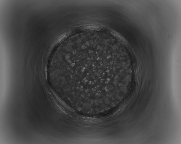 X0000085050729200703051416