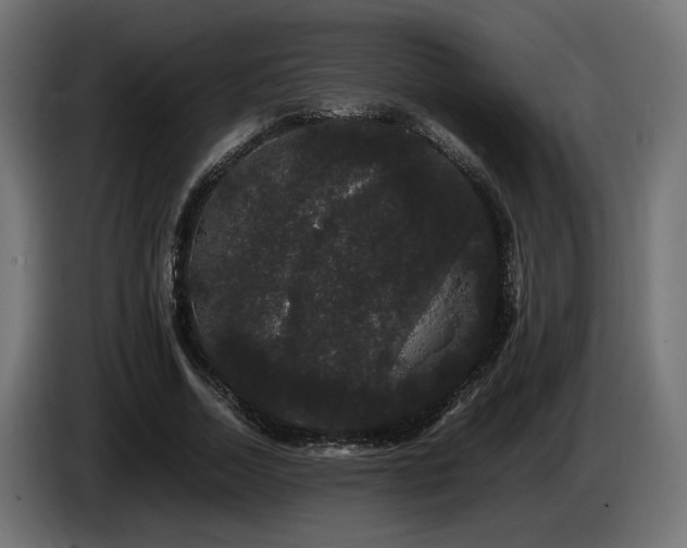 X0000085050730200703051416