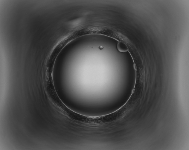 X0000085050731200703051416