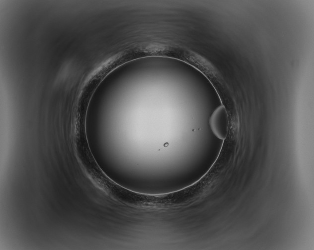X0000085050732200703051416