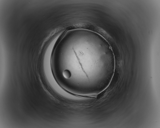 X0000085050734200703051416