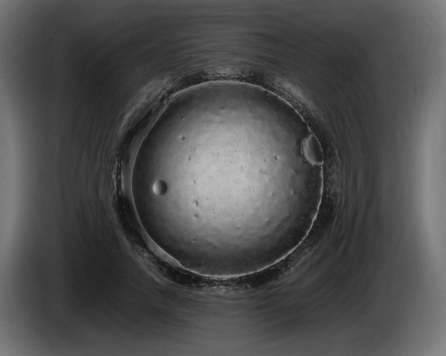 X0000085050738200703051416