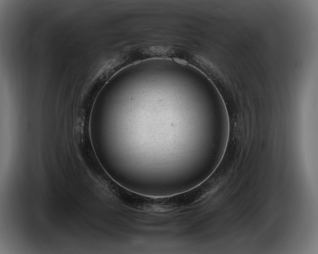 X0000085050739200703051416