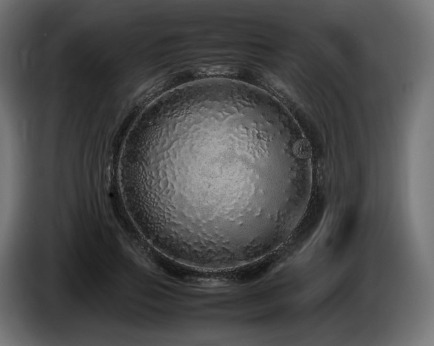X0000085050741200703051416