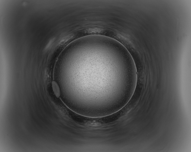 X0000085050743200703051416