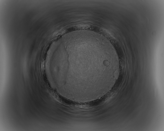 X0000085050745200703051416