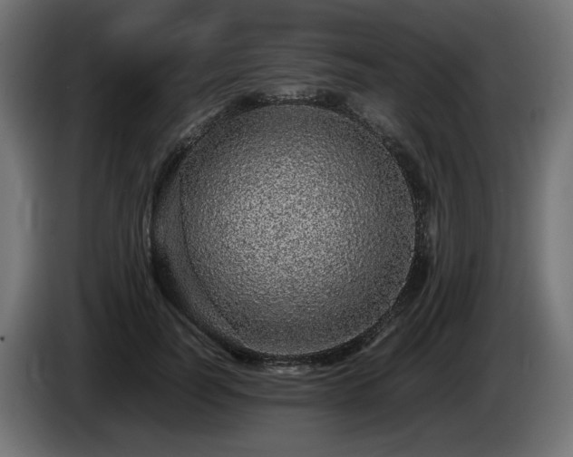 X0000085050746200703051416