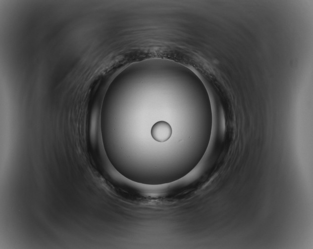 X0000085050750200703051416