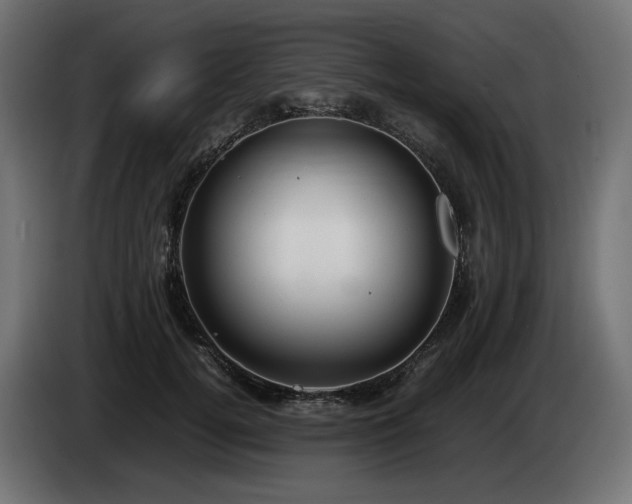 X0000085050752200703051416