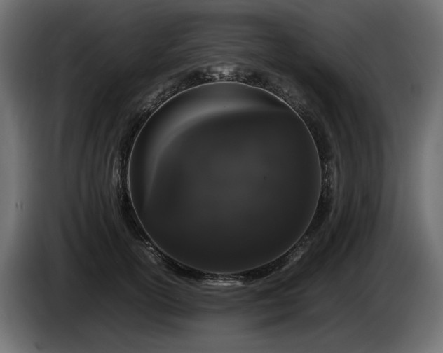 X0000085050754200703051416
